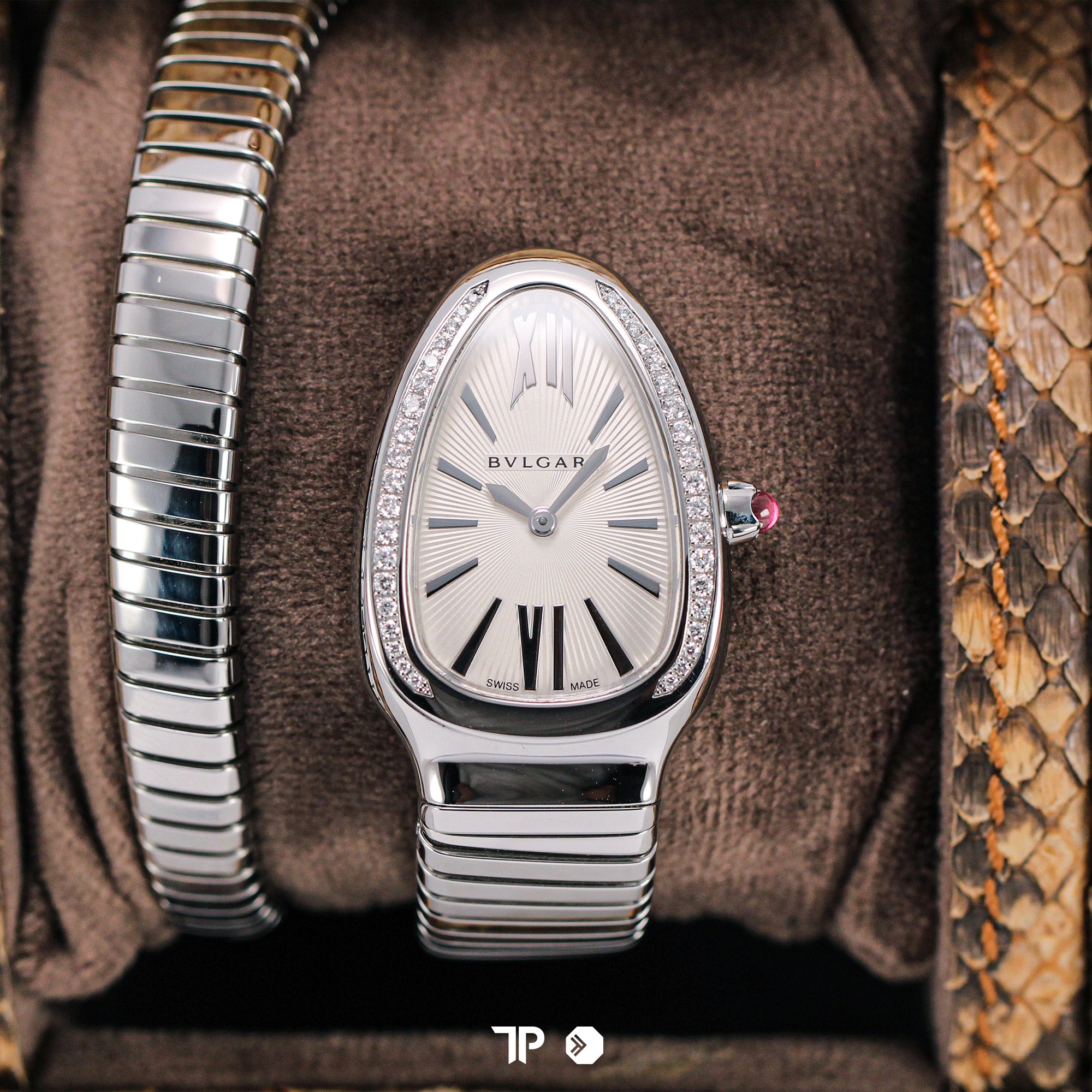 Serpenti 35mm (NEW)
